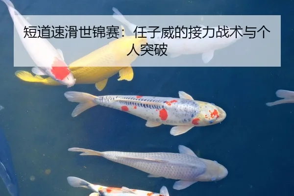 短道速滑世锦赛：任子威的接力战术与个人突破