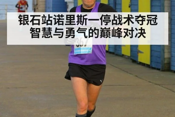 银石站诺里斯一停战术夺冠 智慧与勇气的巅峰对决
