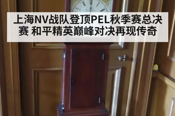 上海NV战队登顶PEL秋季赛总决赛 和平精英巅峰对决再现传奇