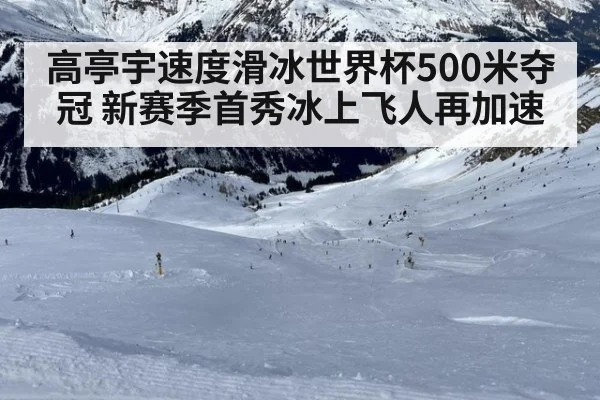 高亭宇速度滑冰世界杯500米夺冠 新赛季首秀冰上飞人再加速